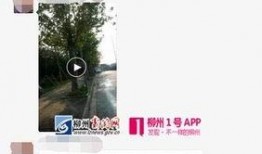 广西柳州网友爆料新闻,惊现神秘事件，真相令人震惊！